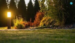 install Landscape Lighting