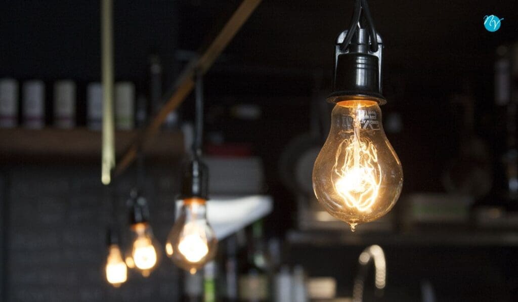 best bulb for landscape lighting