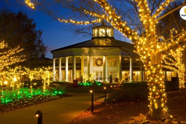 Outdoor home Lighting
