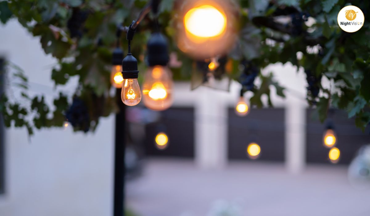 Professional Outdoor Lighting