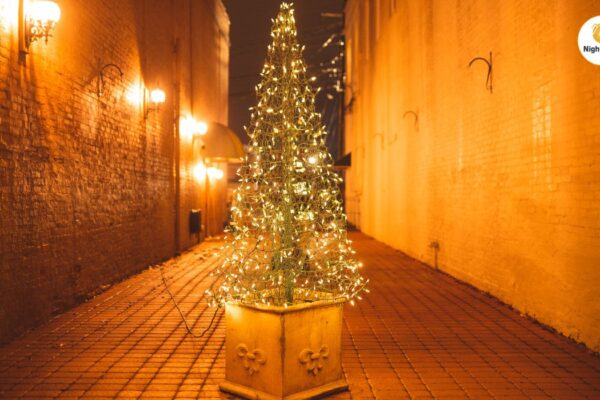 Best Outdoor Lighting Ideas