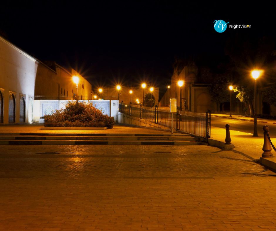 Commercial Landscape Lighting