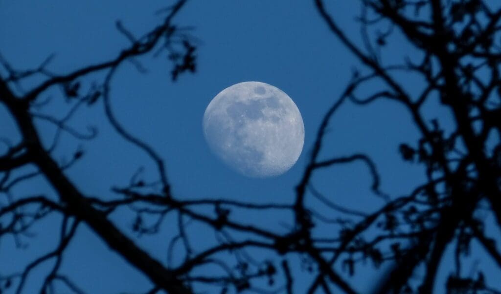 Why Exterior Moon Lighting is a Great Way to Accent Your Home