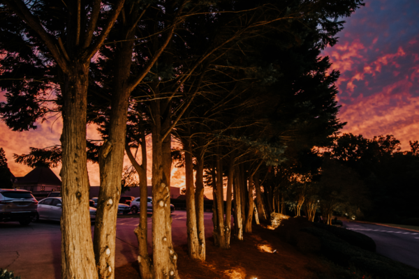 outside path lights
