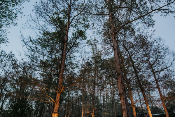 outdoor lighting