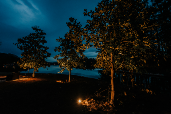 outdoor lighting for backyard parties