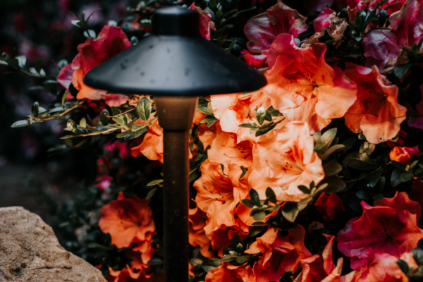 Path Lighting Ideas