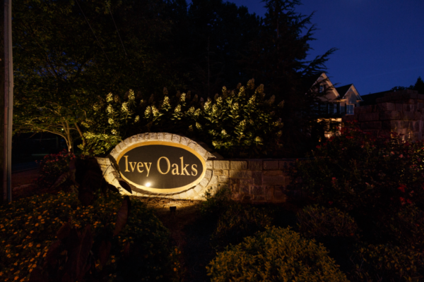 outdoor lighting for backyard parties