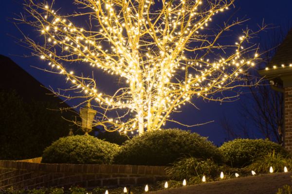 outdoor lighting for backyard parties