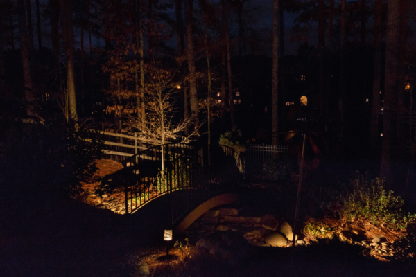 outdoor lighting for backyard parties