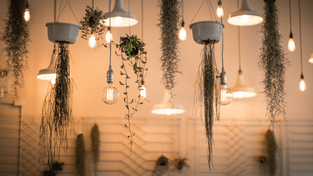 diy outdoor lighting